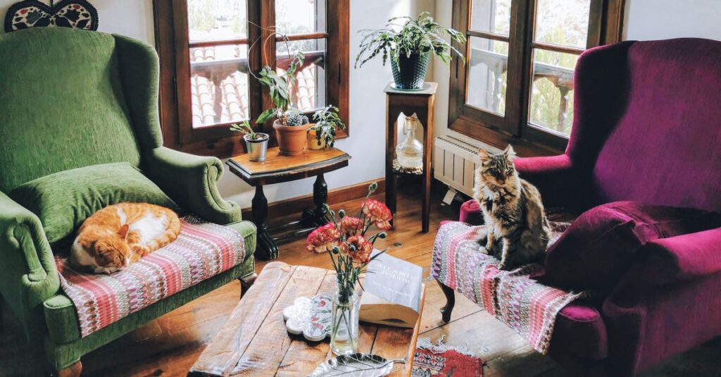 A warm, cozy living room featuring two cats on colorful chairs, with indoor plants and a wooden coffee table.