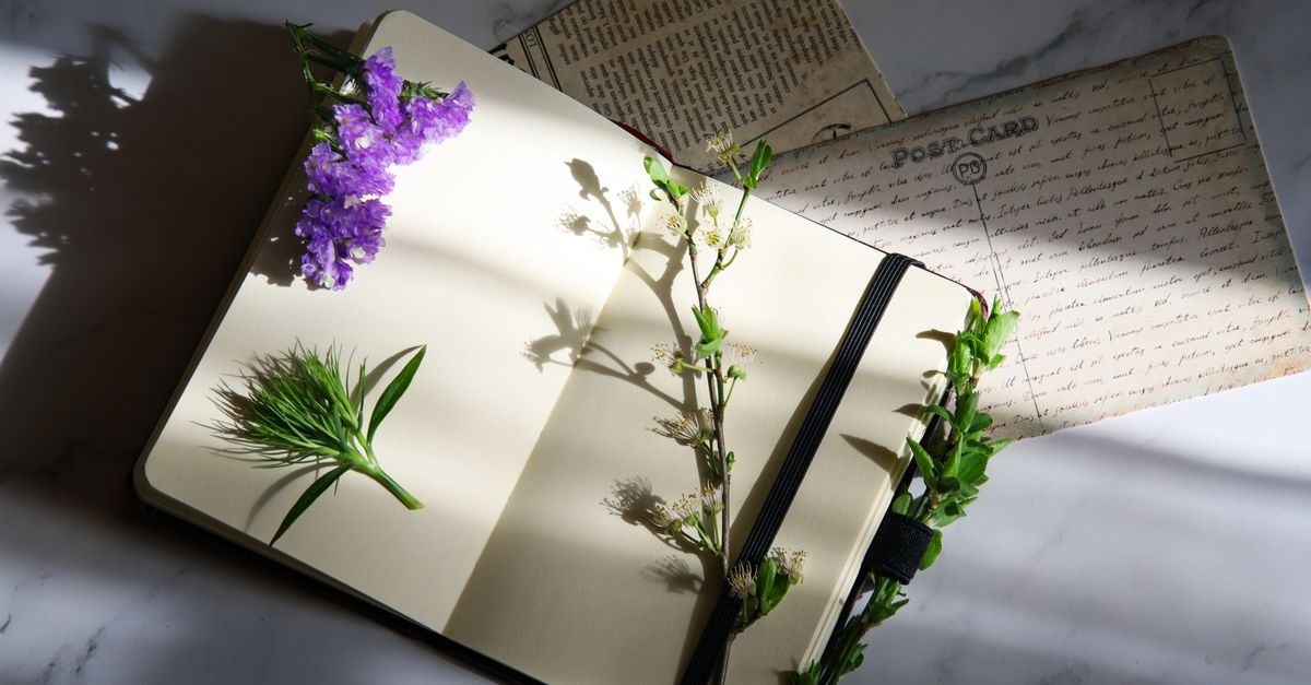 Open notebook with flowers and vintage postcards on a sunlit marble surface, perfect for creative journaling.