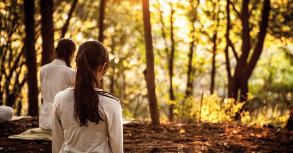 Women sitting in a forest during sunset, practicing meditation and relaxation.