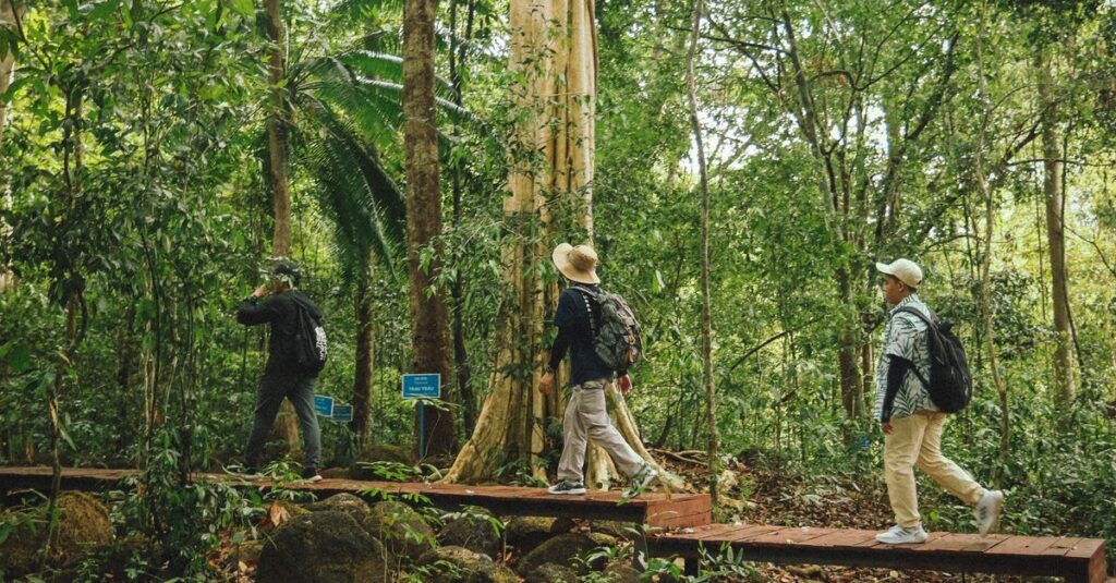 Three adults walking on a wooden boardwalk trail through a lush forest. Ideal for hiking and nature enthusiasts.