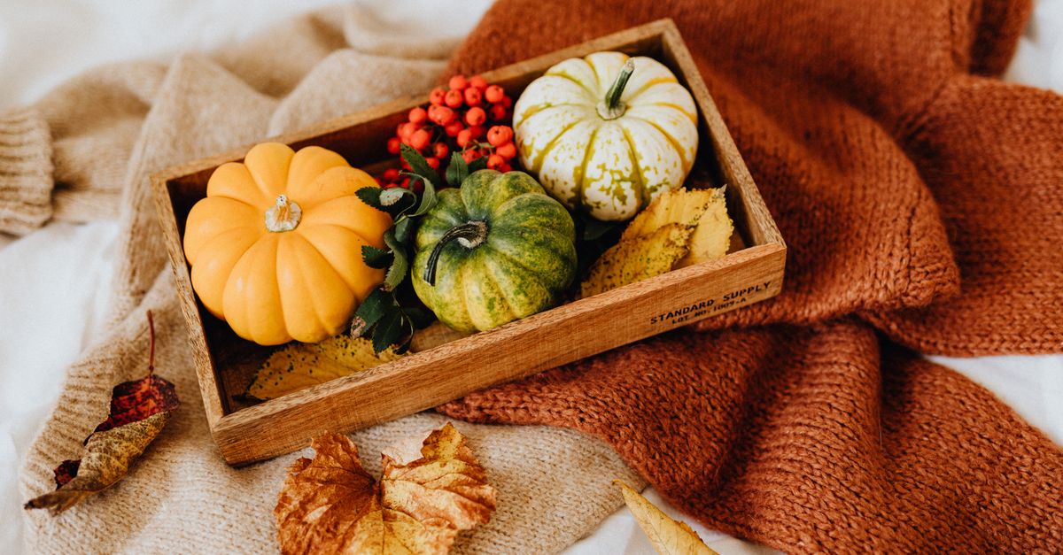 A top view of pumpkins and autumn leaves on knitted sweaters, evoking cozy fall vibes.