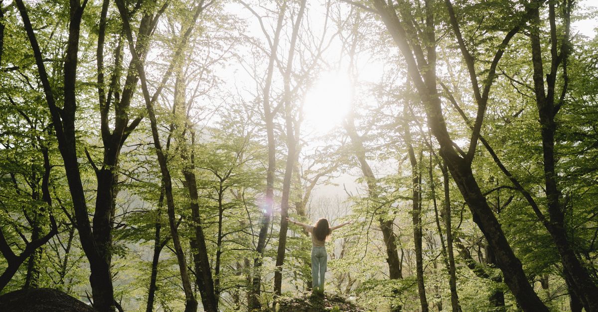 A woman stands with open arms embracing sunlight among tall trees in a lush forest.
